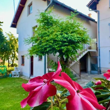 Apartman Amila SJJ Esterno foto